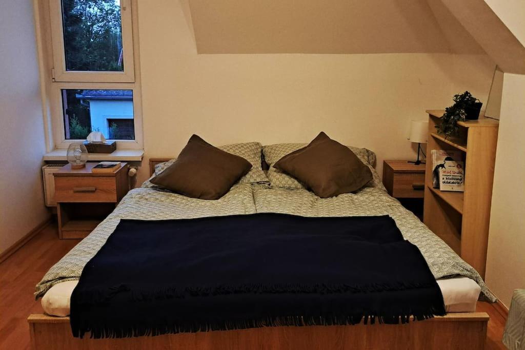 Zoeld Orom Apartman Lakas Göd Exterior foto